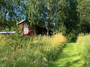 Zahrada ubytování Bogärdan, cozy cabin by the Luleå River