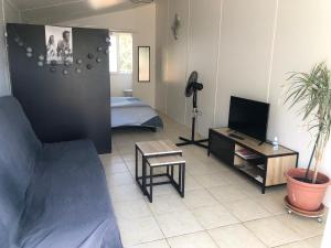TV a/nebo společenská místnost v ubytování chambres d'hotes Labatut