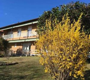 a yellow bush in front of a building at Villetta Le Magnolie Lake Maggiore in Cocquio Trevisago