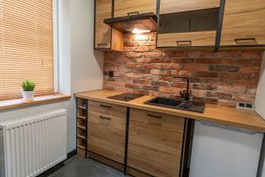 Kuchyňa alebo kuchynka v ubytovaní Bison Apartamenty