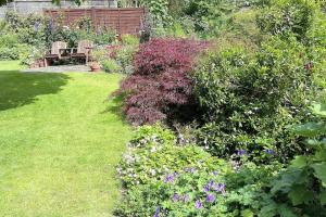 a garden with a bunch of plants and flowers at Bramley Cottage Holidays in Chichester +2 photos