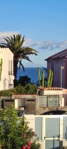 a view of a building and a palm tree and the ocean at Las Algas 1 Etage in Maspalomas