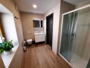 a bathroom with a shower and a sink and a toilet at Apartments Hlapi with SPA in Kobarid