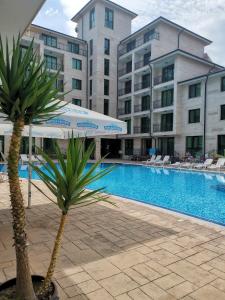 eine Palme und ein Regenschirm neben einem Pool in der Unterkunft Lovely Apartments Amadeus Lux in Sonnenstrand