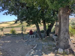 Un uomo seduto su una panchina sotto alcuni alberi di B&B Pozzo Innamorato a Montenero di Bisaccia
