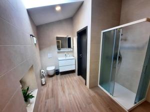 a bathroom with a toilet and a sink and a mirror at Apartments Hlapi with SPA in Kobarid