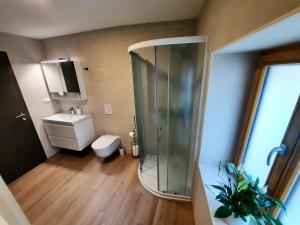 a bathroom with a shower and a toilet and a sink at Apartments Hlapi with SPA in Kobarid