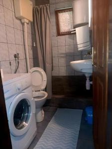 een badkamer met een wasmachine en een wastafel bij Janjske otoke - smještaj na selu (Milorad Piljić) in Šipovo
