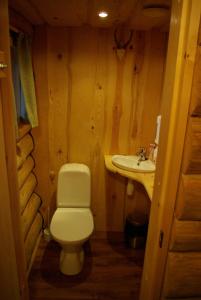 a bathroom with a toilet and a sink at Tatra Holiday House in Tatra