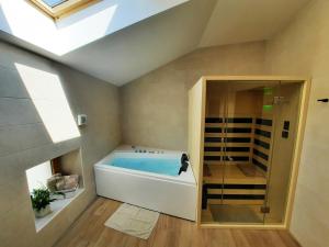 e bagno con vasca e doccia. di Apartments Hlapi with SPA a Kobarid Altre 37 foto
