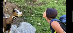 Altri animali domestici presso l'affittacamere o nei dintorni
