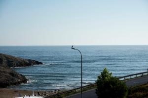 a bird sitting on a street light next to the ocean at Fener Motel in Sile
