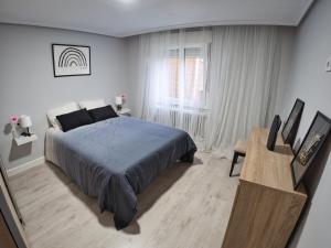 ein Schlafzimmer mit großem Bett und Fenster in der Unterkunft Bonito piso Villafria in Oviedo