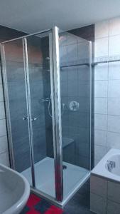 a shower with a glass door in a bathroom at Ferienwohnung Piller in Hohenau