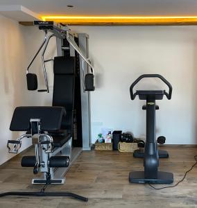 Fitness centrum a/nebo fitness zařízení v ubytování Gartenhotel Rosenhof bei Kitzbühel