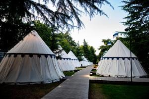 a large group of tents on top of a lush green field at Warwick Castle Knight's Village in Warwick