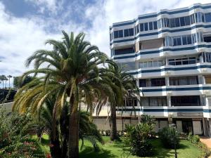 wysoki budynek z palmami przed nim w obiekcie Playa del Ingles Vitamine D garantie w mieście San Bartolomé