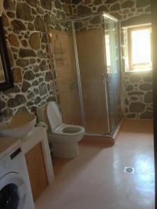 a bathroom with a shower and a toilet and a sink at Loutra Olive Garden Stone House #2 in Mandrákion