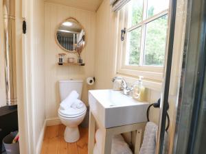 a bathroom with a toilet and a sink and a window at High Grounds Shepherd's Hut in Ashbourne