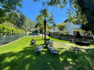 奧梅尼亞的住宿－Residence Belvedere & Private Beach，草地上设有长椅和遮阳伞的公园