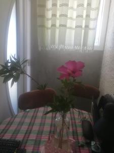 eine rosa Blume in einer Vase auf einem Tisch in der Unterkunft PLAVOBELA KUĆA SA MAGIČNIM POGLEDOM NA MORE in Herceg-Novi