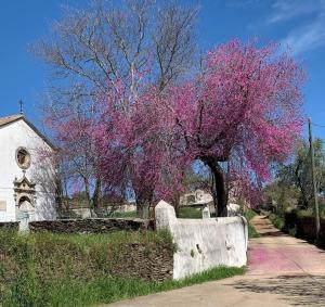 Ogród w obiekcie Casa situada en un entorno natural Casa Rural La Serena