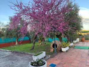 Ogród w obiekcie Casa situada en un entorno natural Casa Rural La Serena