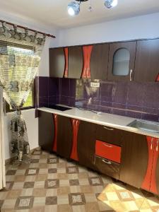 uma cozinha com armários roxos e vermelhos e um lavatório em Casa Alex Alunisu em Alunişu