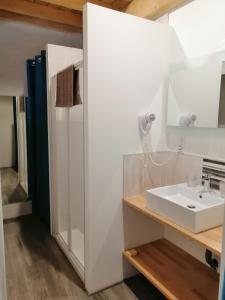 a bathroom with a sink and a mirror at Les Gîtes de Genas in Bourg-lès-Valence