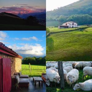 Gallery image of Maison chulubitenia in Irouléguy +9 photos