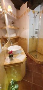 a bathroom with a sink and a shower at Apartamento Rural Sefardí, Barrio Judío de Hervás in Hervás