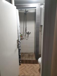 Kupatilo u objektu Apartmani Dambo