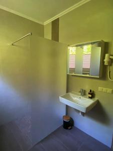 a bathroom with a sink and a mirror at Hotel Seestuben in Villach