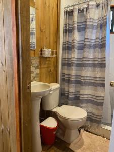 a bathroom with a toilet and a sink at Cabañas Carmelitas in Pucón