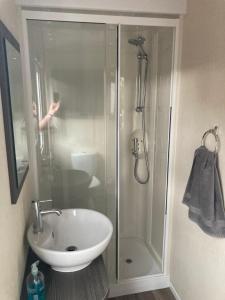 a bathroom with a shower and a sink and a shower at Bumblebee Lodge in Tintagel
