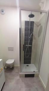 eine Duschkabine im Bad mit WC in der Unterkunft Histoire de Loire - AUBANCE in Saumur