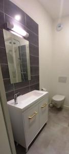 bagno con lavandino, specchio e servizi igienici di Histoire de Loire - AUBANCE a Saumur