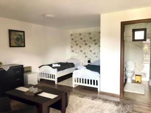 Postel nebo postele na pokoji v ubytování Casa Vasu