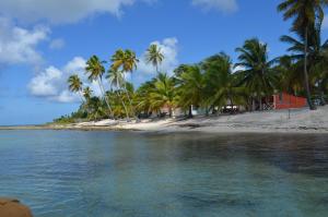 a beach with palm trees and a red house at Casa Rural El Paraíso de Saona in Mano Juan