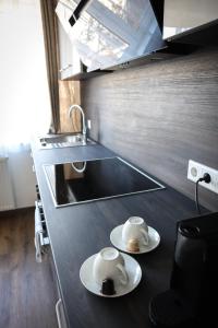 een keuken met twee kopjes op een aanrecht met een wastafel bij Living8-Appartements in Bad Ischl