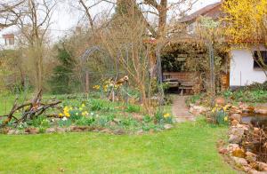un jardín con un banco y flores en un patio en Ferienwohnung Auszeit Perle des Ohmtales, en Homberg Ohm