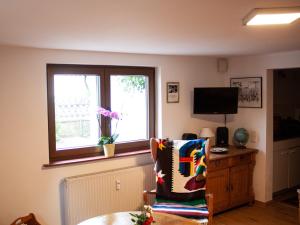 een woonkamer met een stoel en een raam bij Ferienwohnung Auszeit Perle des Ohmtales in Homberg an der Ohm
