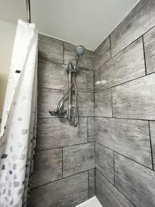 a bathroom with a shower with a shower curtain at Starview Apartment - Hawthorne in Colchester