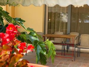 Zdjęcie z galerii obiektu Elena apartment chalkidiki w mieście Kallithea