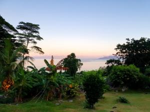 uma vista para um jardim com árvores e para o oceano em Rose Self Catering em Beau Vallon