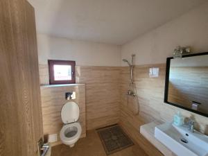 a bathroom with a toilet and a sink and a shower at Vila Kalypso in Schitul
