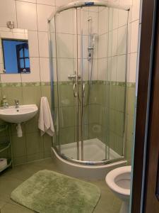 a bathroom with a shower with a sink and a toilet at Pokoje Gościnne U Wioli in Zakopane