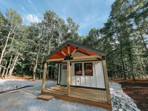 a smallshed in the middle of a forest at Cabin #9 One Bedroom W Kitchenette in Hartwell