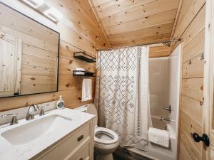 a bathroom with a sink and a toilet and a shower at Cabin #8 Studio With Kitchenette in Hartwell
