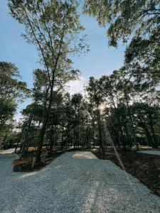 a gravel road in the middle of a forest at Cabin #7 With Kitchenette in Hartwell